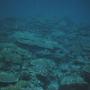 Fiji - Mystisk undervandsliv